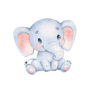 Daxiang Cheap VPN, 大象便宜梯子