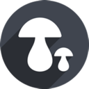 Mogul Cheap VPN, 蘑菇便宜梯子